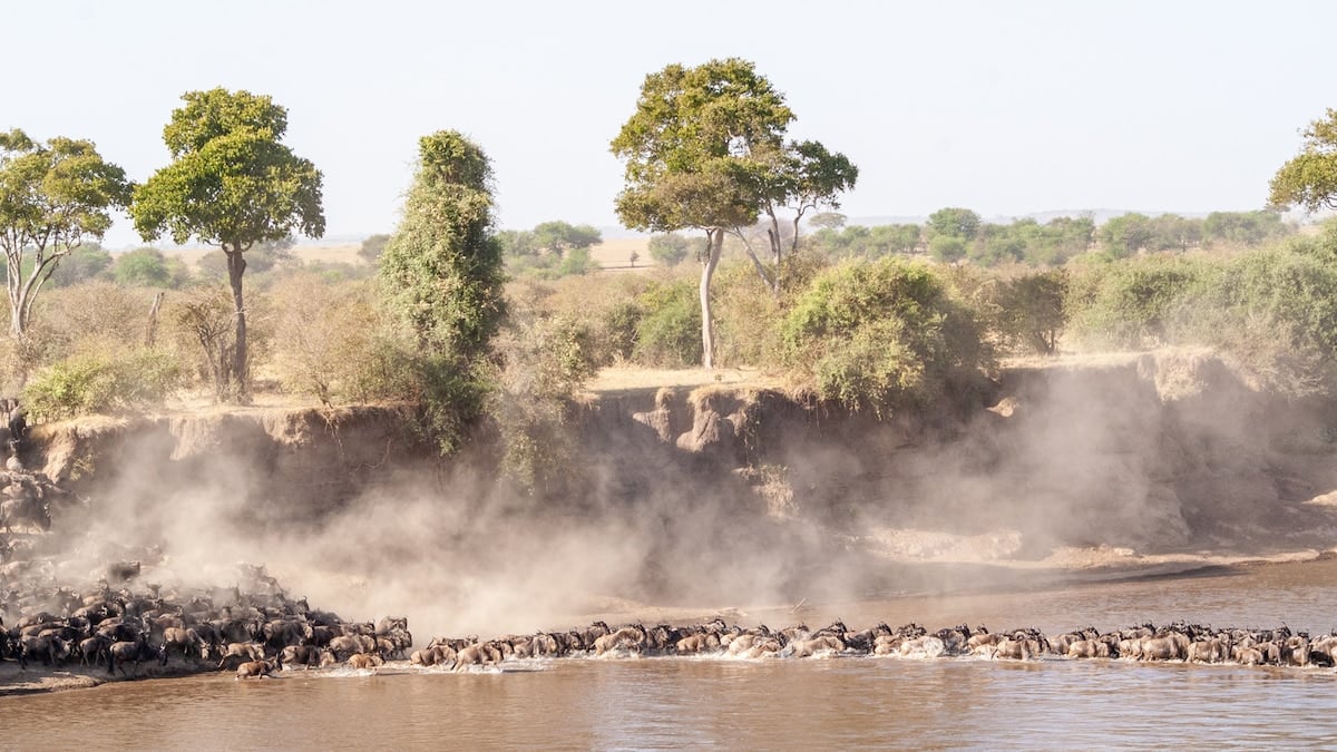 Tres parques, mil historias: cómo recorrer el norte de Tanzania sin perderse nada