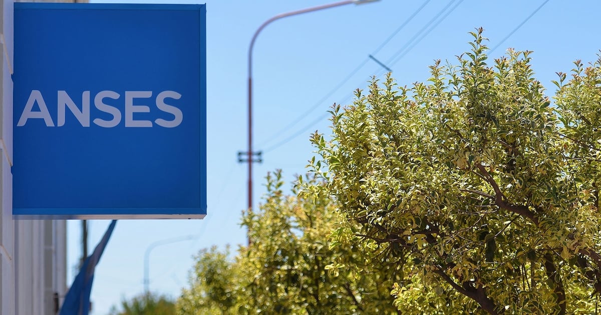 Calendario de ANSES para DNI terminado en 2: fechas, montos actualizados y bono de octubre