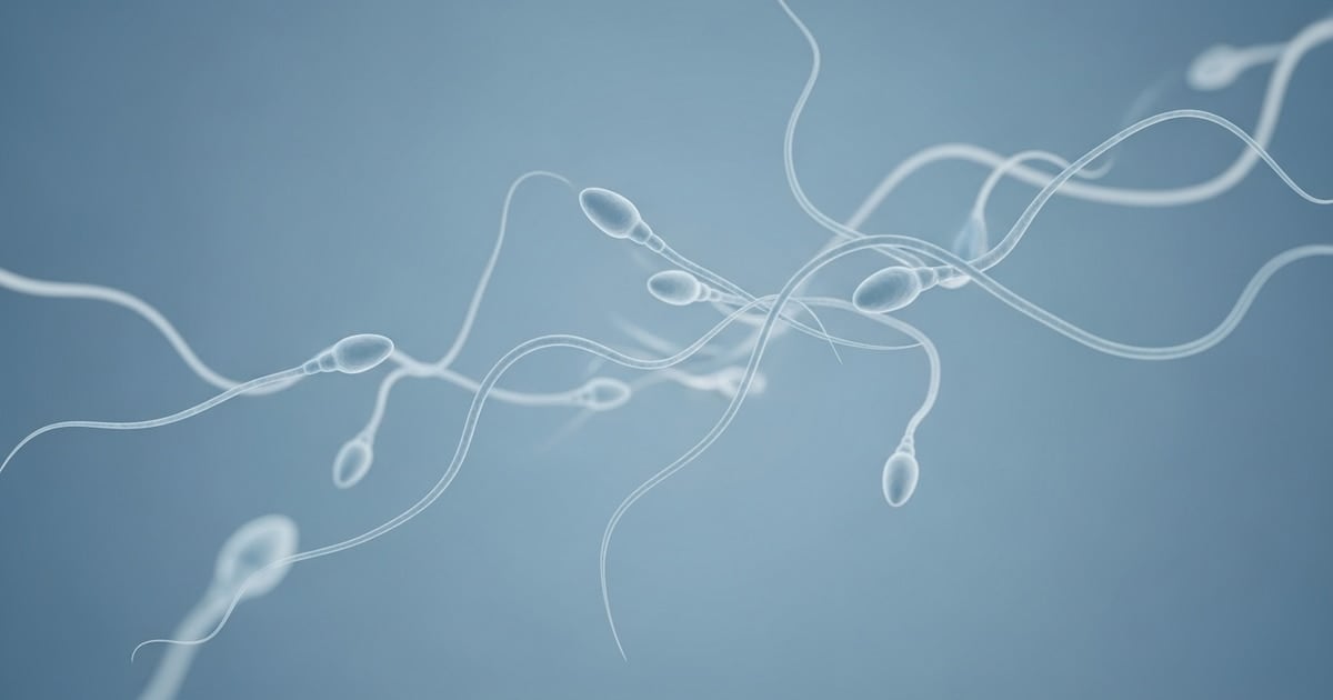 Una segunda oportunidad para la paternidad: el primer trasplante de tejido testicular en el Reino Unido que reabrió el debate sobre fertilidad y cáncer