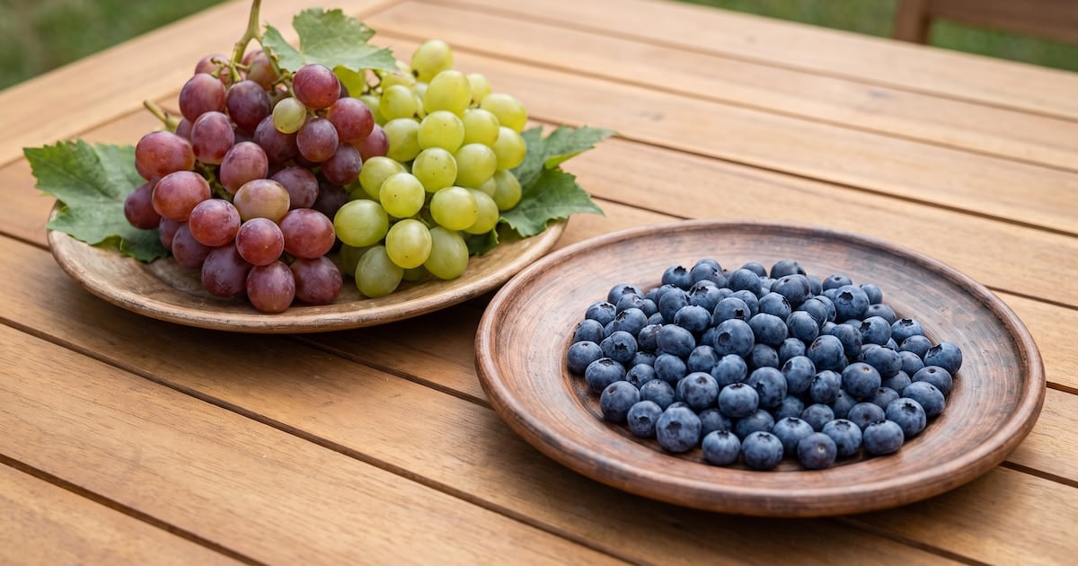 Arándanos o uvas: dos frutas parecidas en la góndola, muy distintas en el cuerpo