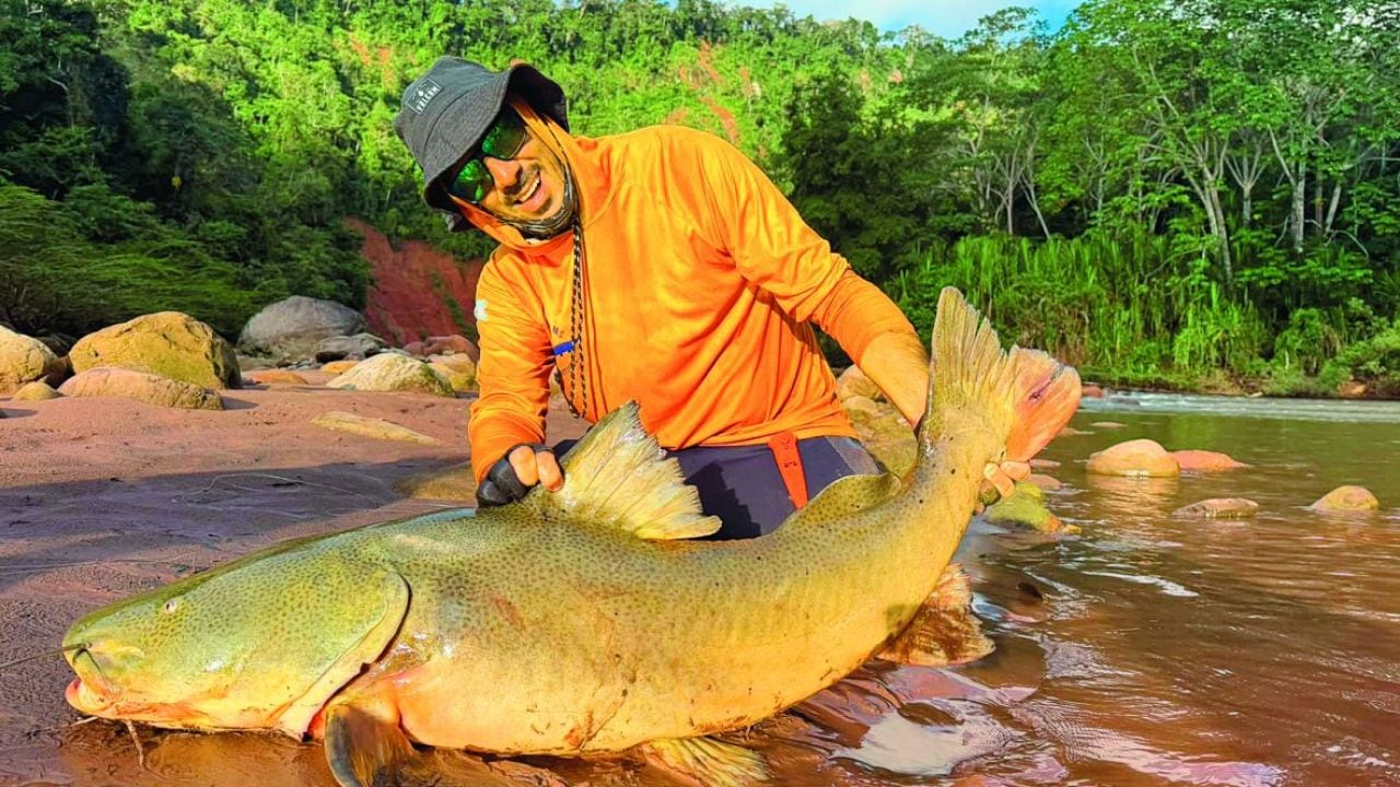 Pesca en la Amazonía boliviana: un río de 350 kilómetros donde conviven quince especies y se liberan peces de hasta 25 kilos