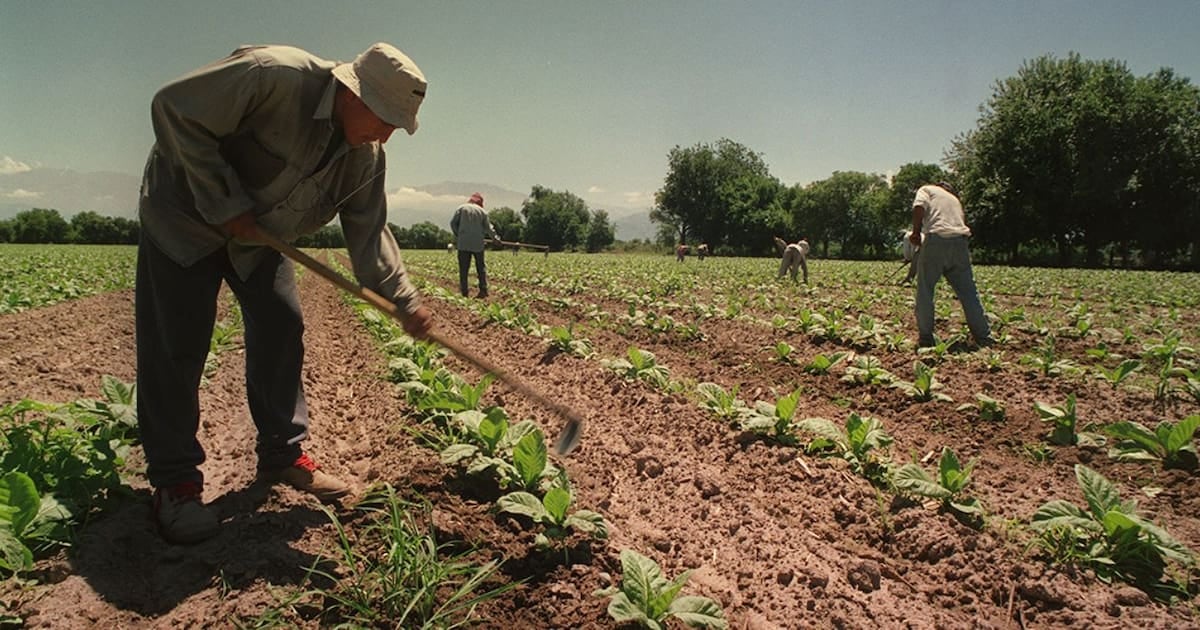 El campo sostiene por un año más el piso de asignaciones para los trabajadores temporarios
