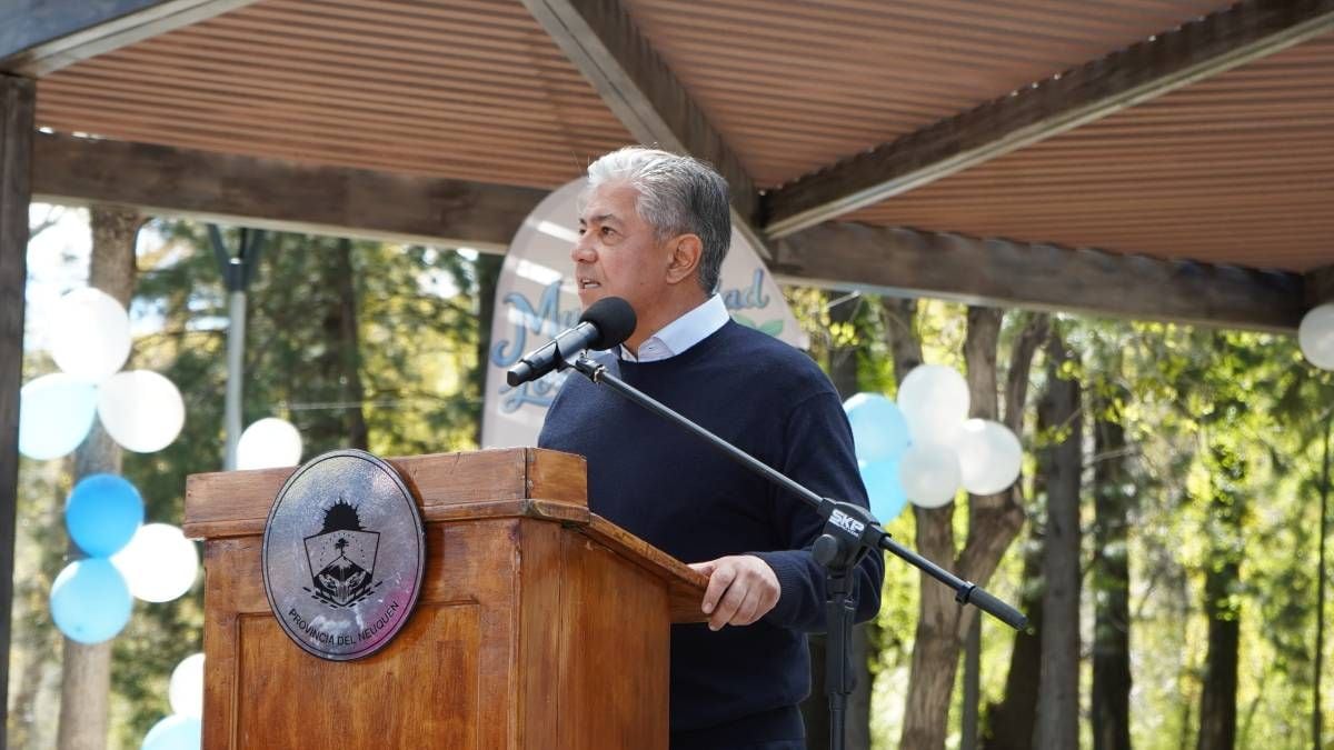Neuquén propone bajar un 30% la luz de los hogares desde el próximo mes