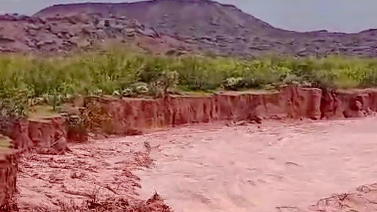 Río Neuquén: dónde consultar los caudales oficiales ante alertas por lluvias