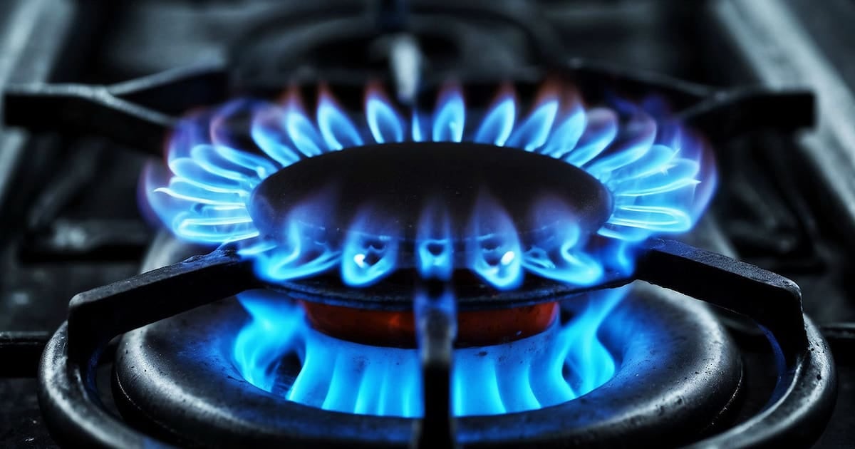 Zona Fría: qué usuarios conservan la rebaja del 50% en el gas y quiénes pueden acceder al 20%